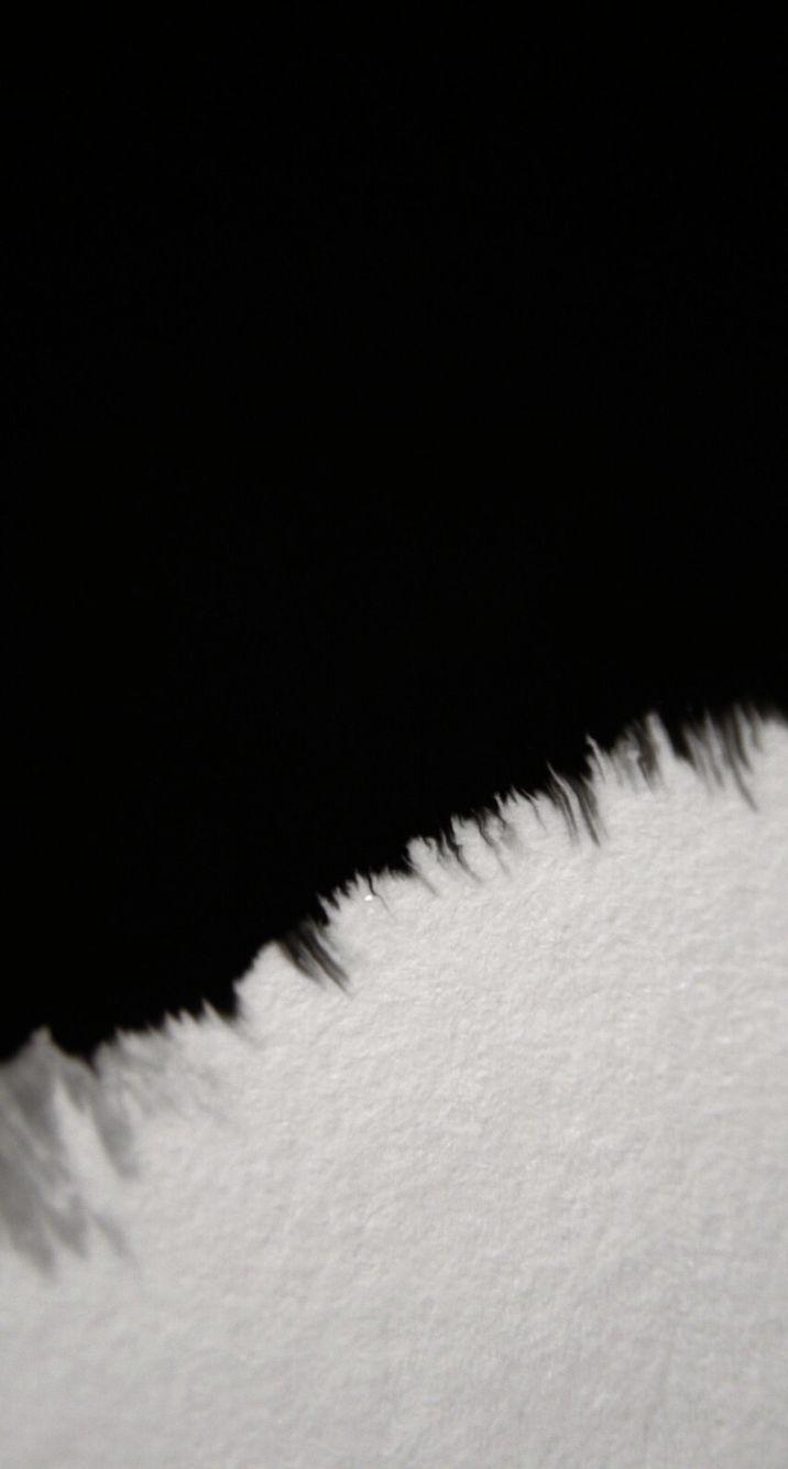 Image 1782405800